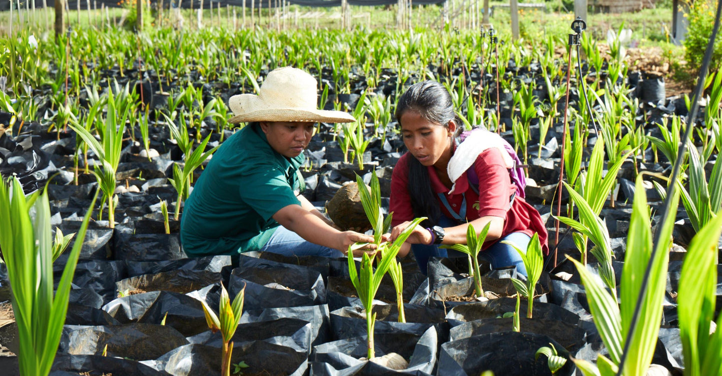 Lionheart Farms Pioneering Sustainability
