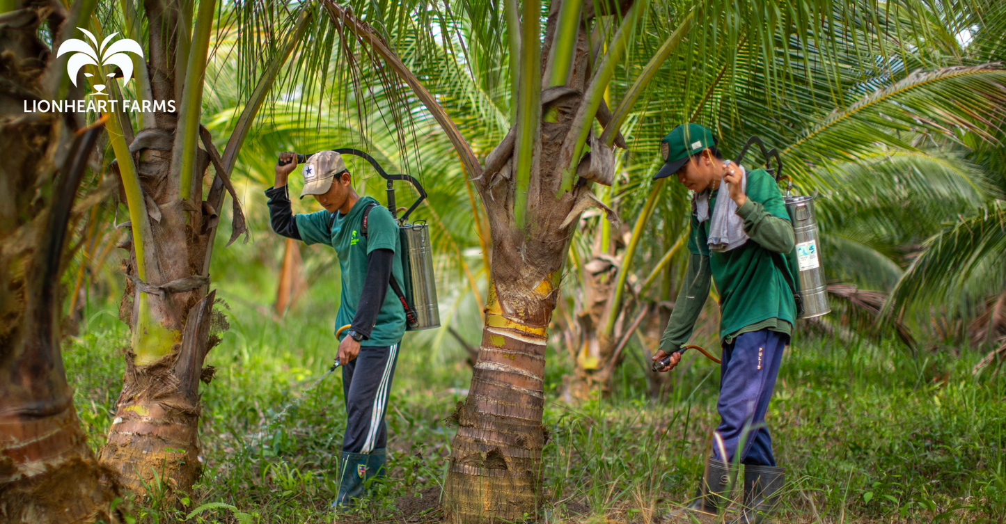Regenerative Farming with Lionheart Farms