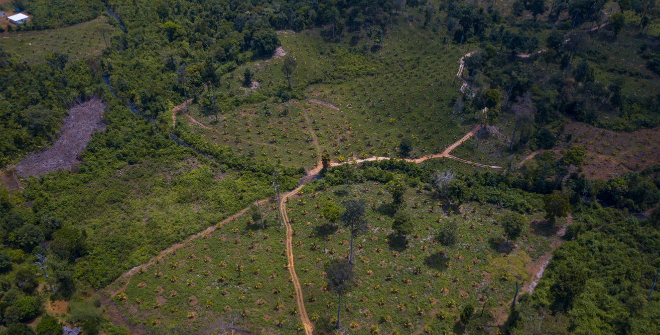 LIonheart Farms Regenerative Agriculture