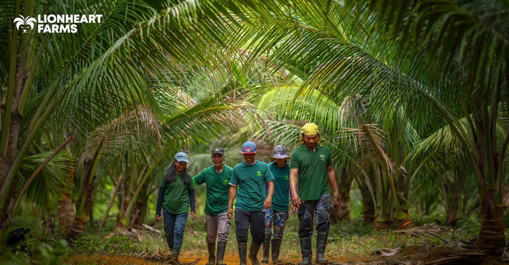 Lionheart Farms: Driving Community-Based Economic Growth in Palawan