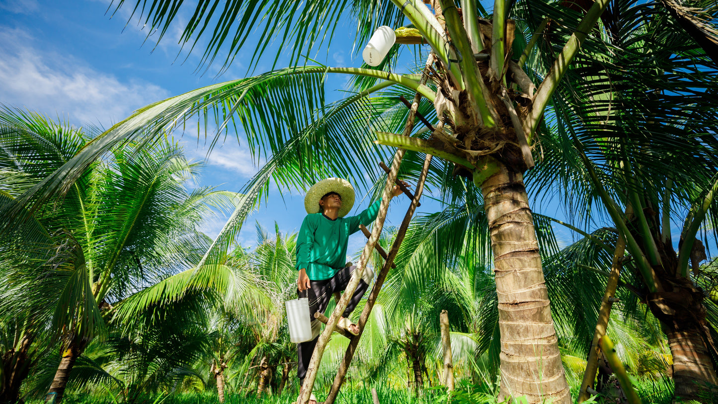 What Does "Regenerative Organic" Actually Mean for a Coconut Palm?