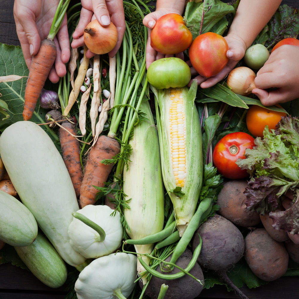 Eating for a Better Tomorrow: The Impact of Sustainable Food