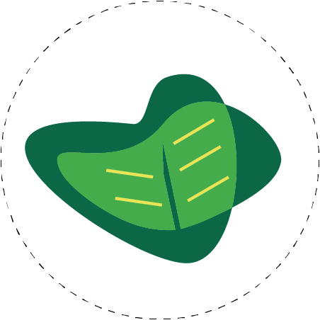 Regenerative Farms